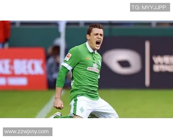 2014年德甲精彩对决云达不莱梅迎战沙尔克04全场回顾与分析